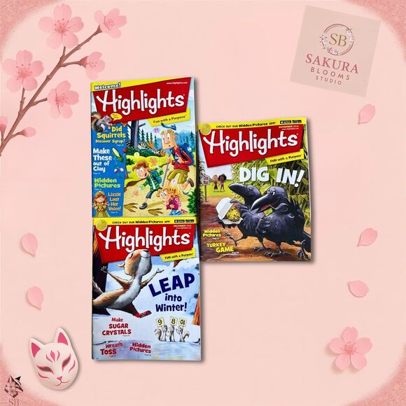 Lot of 13 Highlights Magazines 2016–2017,  Hidden Pictures Fun – Kids Activities - Picture 5 of 5